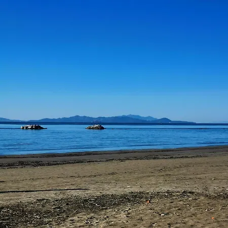 La Baracca Dei Pescatori Follonica